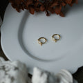 Elegant Bowknot Hoop Earrings